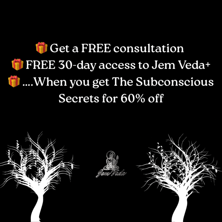 Jem Veda Black Friday Sale 🎁🍾