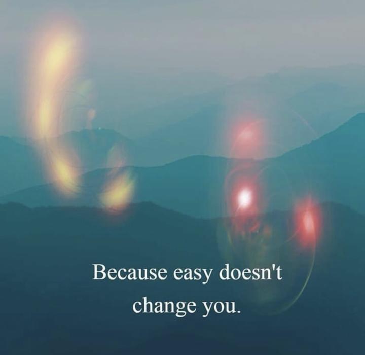 🎯