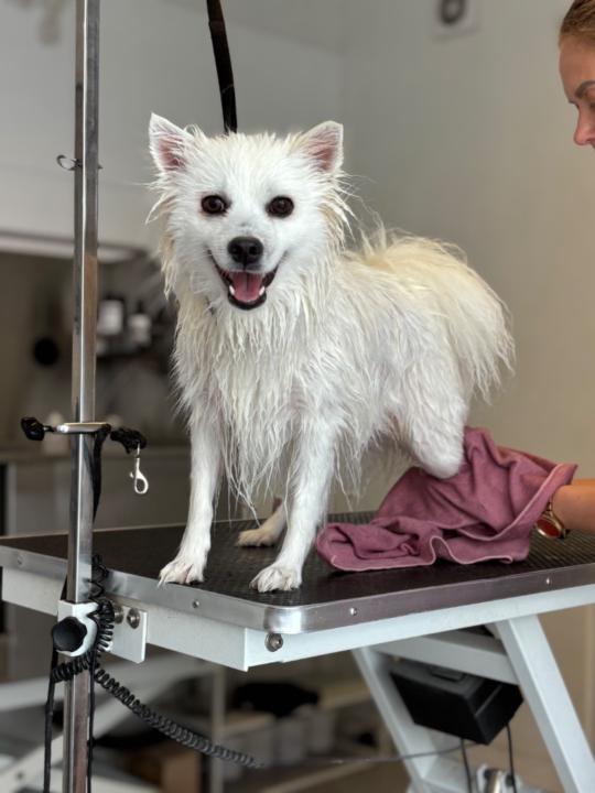 Karoline Hildeng Halvorsen