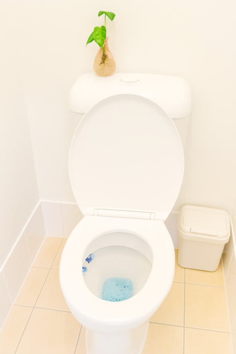 Keeping your Throne fit for any royal tush!  