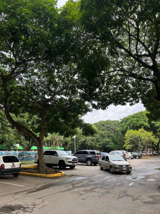 Orleannys Sánchez