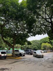 Orleannys Sánchez