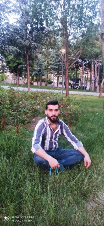 محمد سعيد البوشي