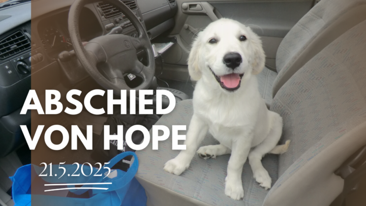 Abschied von Hope 