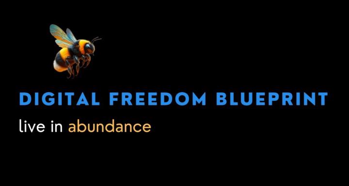 Digital Freedom Blueprint
