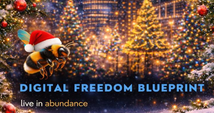 Digital Freedom Blueprint