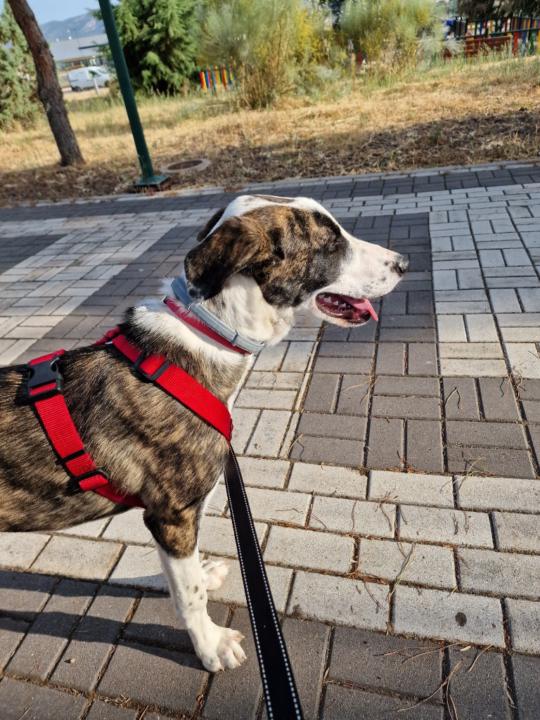 Iván García Rodríguez