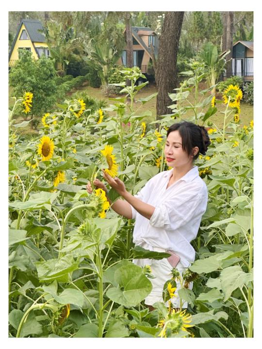 Lê thị kim anh Kimanhle