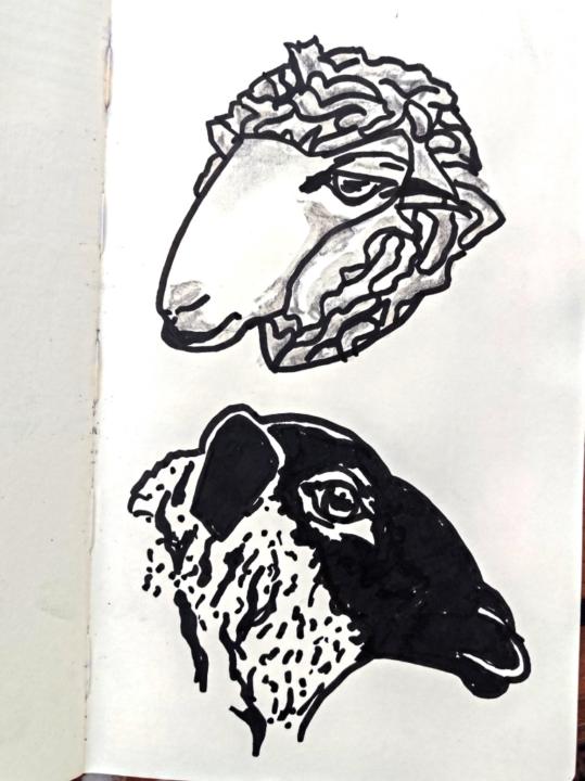 Emilia Fernandez de navarrete