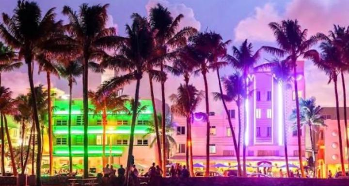 MIAMI NIGHTS