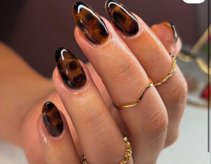 Tortoise shell