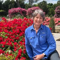 Anita Whalen