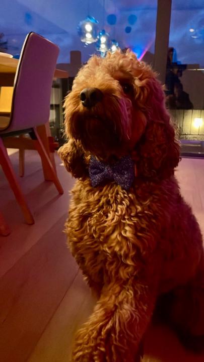 Charmaine Schönfeld