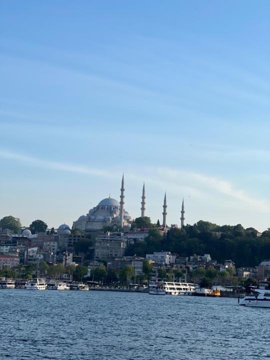 Aa Ali