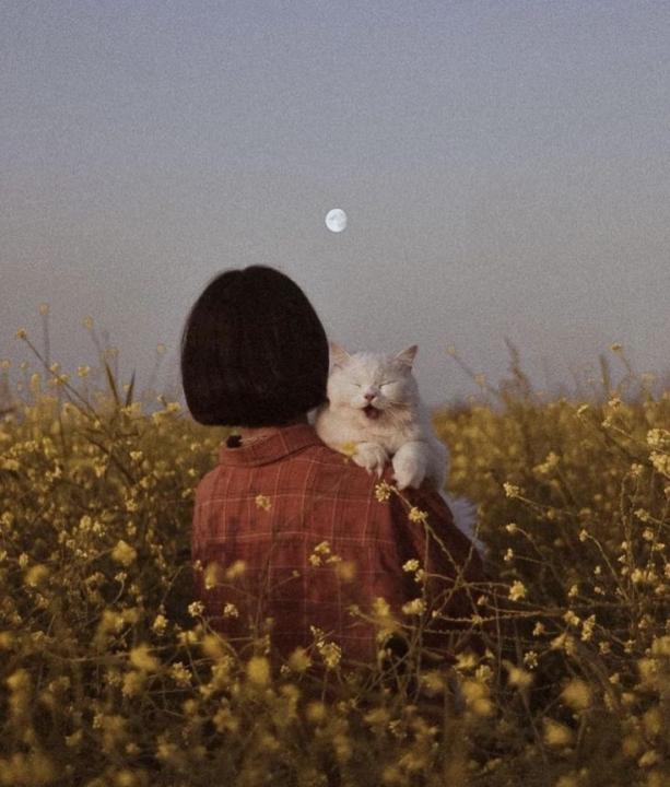 Hannah Hamoda