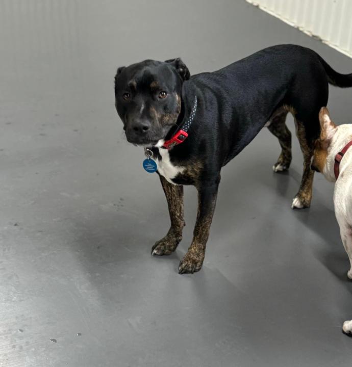 SallySally Mathewson