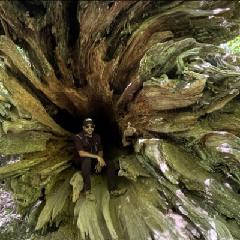 Krishnan Ranganathan