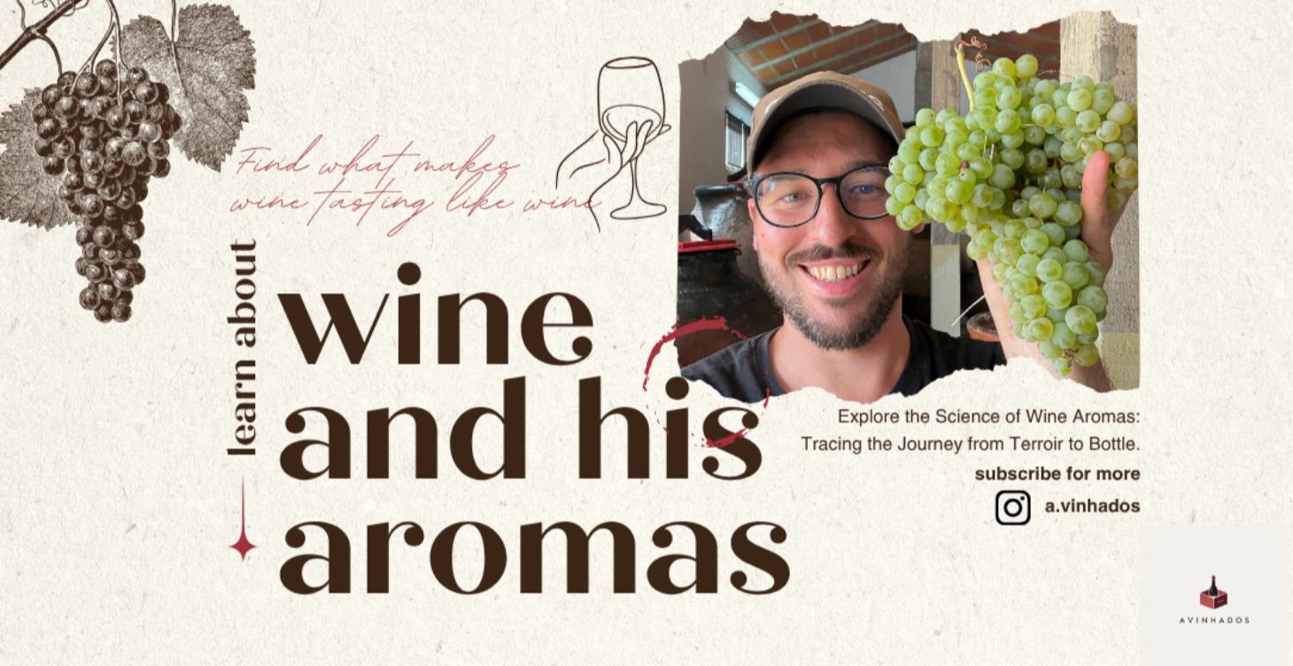 Wine aromas explained