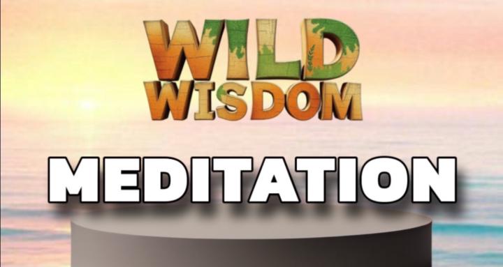 Wild Wisdom Meditation