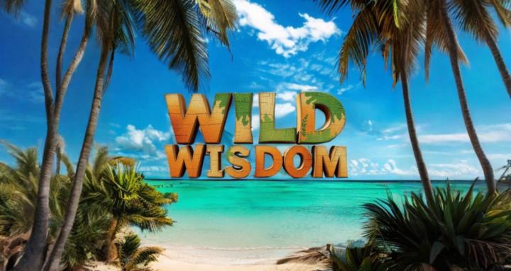 Wild Wisdom Meditations