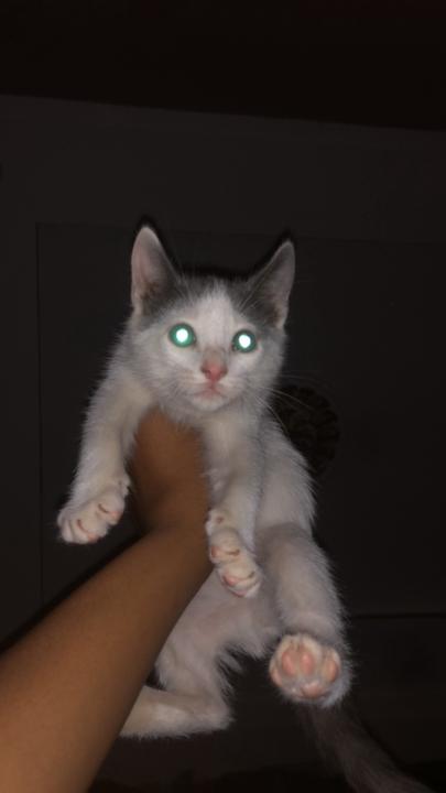 Rida Lakhragat