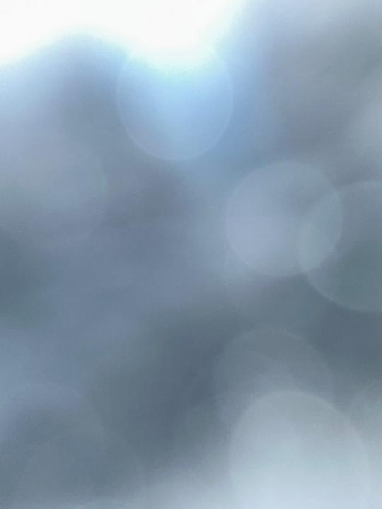 欣徽 周