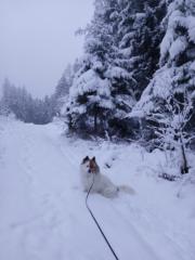 Elisabeth Kozubowski