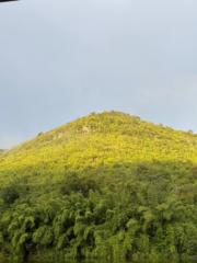 Suchanya Jaichun