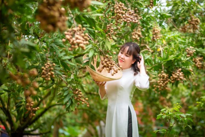 Chinh Lương