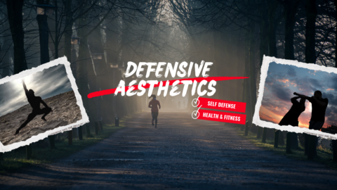 Defensive Aesthetics gallery image