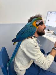 Giovan Battista Buffa