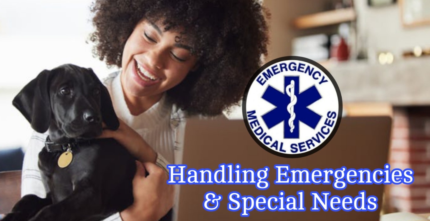 Handling Emergencies & Special Needs🩺🐾