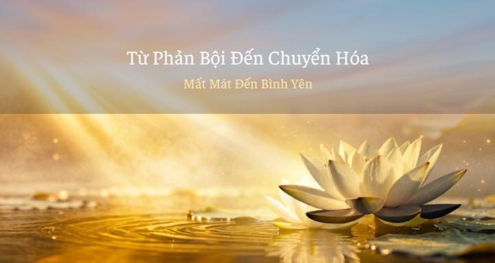 Chữa Lành Sau Phản Bội 