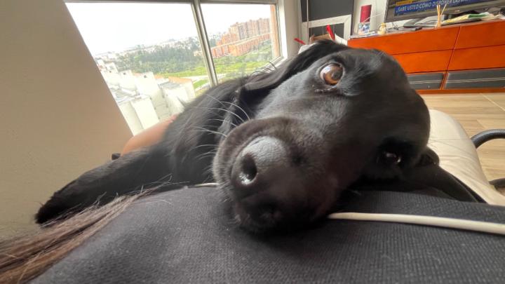 Maria Fernanda Tibaquira