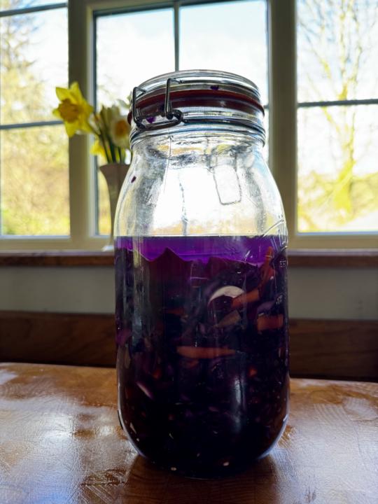 Red cabbage sauerkraut