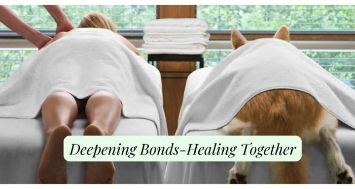 Pets & People Holistic Care