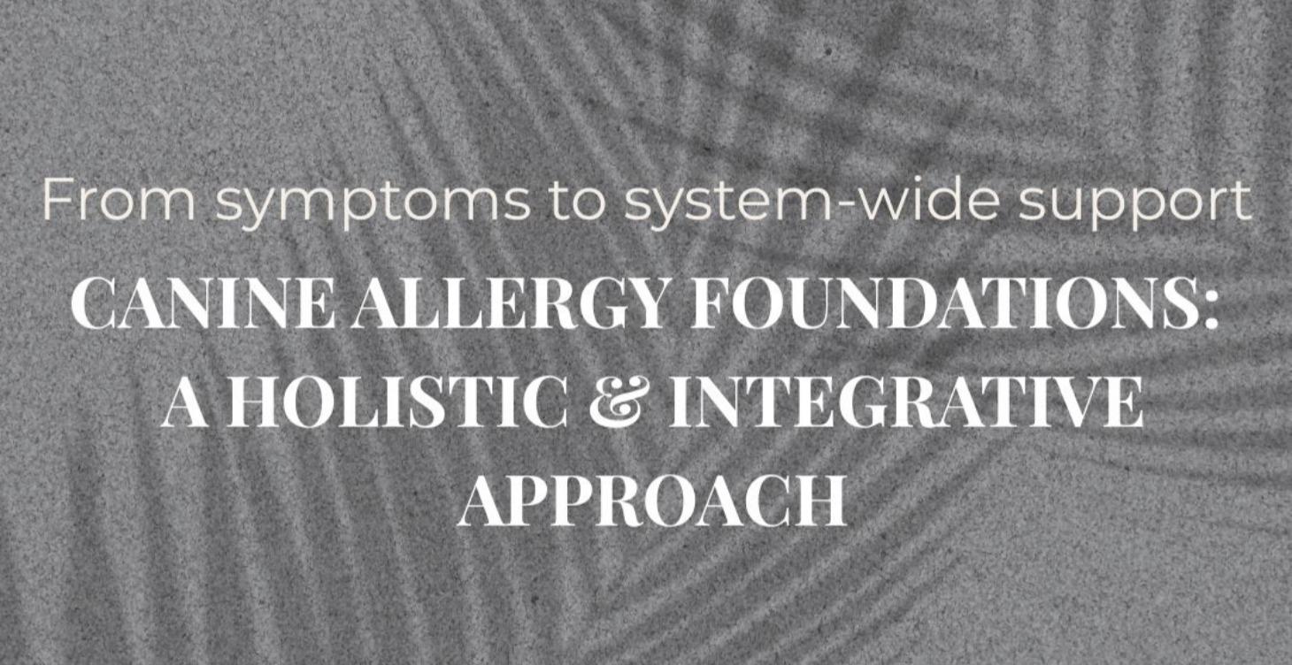 Canine Allergy Foundations