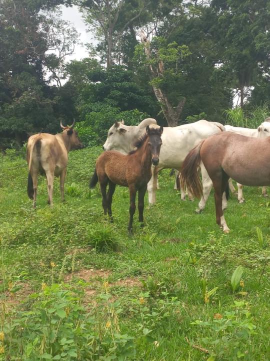 Kael.d.t.n Kael.d.t.n