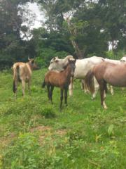 Kael.d.t.n Kael.d.t.n