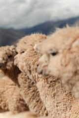 Valentina Giraldo Henao