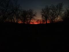 Cristian Vidal Marín