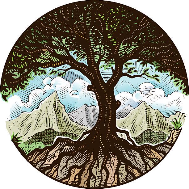 Grounded and Growing