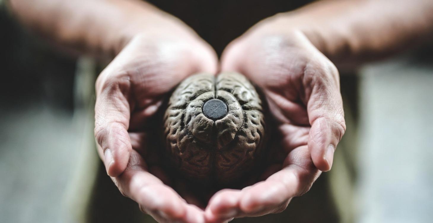 4. Mental Health Toolkit Path