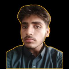 Hammad Ali