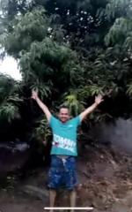 Carlos Romero