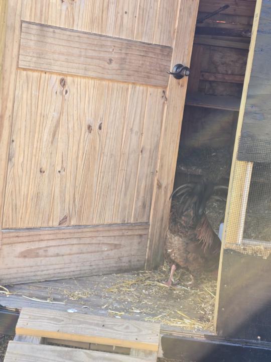 Its that time of year 🦃🙏🏾