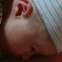 Christopher Fenrich Sr