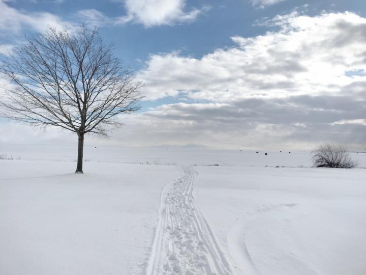 ⭐January Reflections!⭐--share yours!