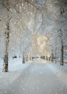 A Reminder to Slow Down This Week