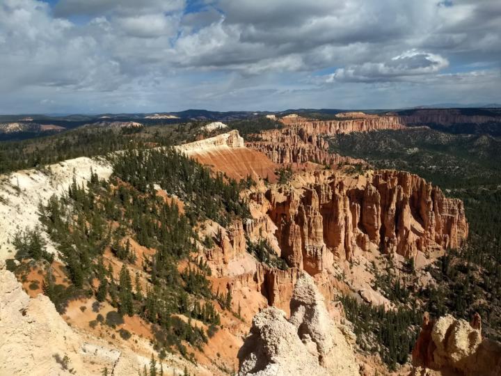 Not All Who Wander Are Lost